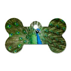 Peafowl Peacock Dog Tag Bone (one Side) by Sarkoni