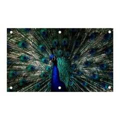 Blue And Green Peacock Banner And Sign 5  X 3  by Sarkoni