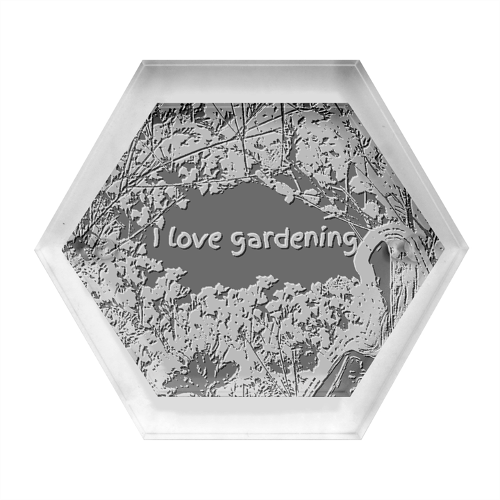 Garden Lover Hexagon Wood Jewelry Box