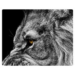 Angry Male Lion Roar Wild Animal Two Sides Premium Plush Fleece Blanket (medium) by Cendanart