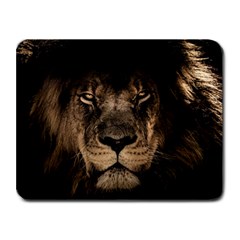 African Lion Mane Close Eyes Small Mousepad by Ket1n9