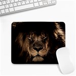 African Lion Mane Close Eyes Small Mousepad Front