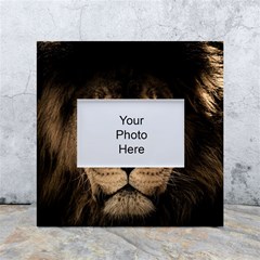 African Lion Mane Close Eyes White Box Photo Frame 4  X 6  by Ket1n9