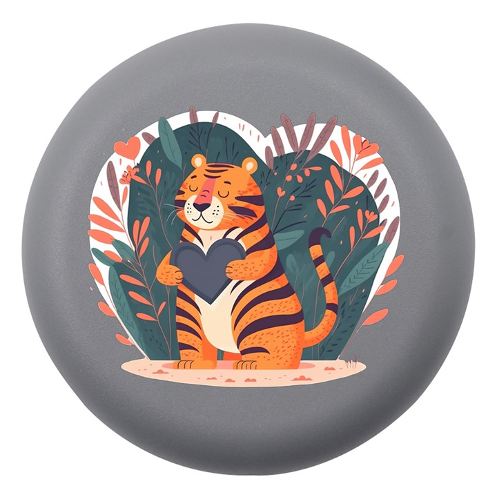 Cute Tiger Gray Dento Box with Mirror