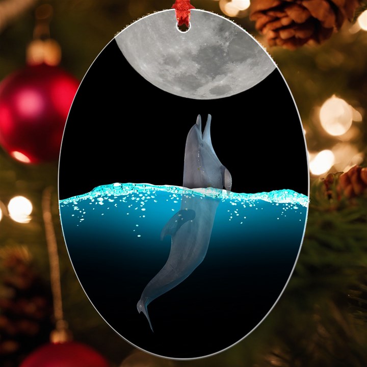 Dolphin Moon Water UV Print Acrylic Ornament Oval