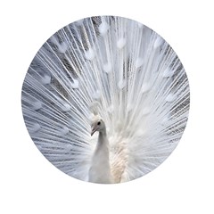 White Peacock Bird Mini Round Pill Box (pack Of 3) by Ndabl3x