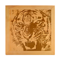 Angry Tiger Animal Broken Glasses Wood Photo Frame Cube by Cemarart