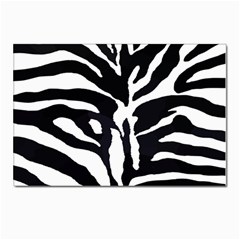 Zebra-black White Postcards 5  X 7  (pkg Of 10) by nateshop