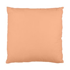 Peach Fuzz 2024 Standard Cushion Case (two Sides) by dressshop