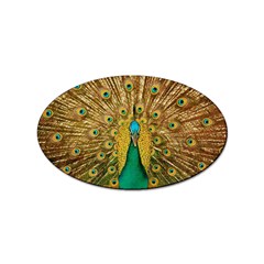 Peacock Feather Bird Peafowl Sticker Oval (100 Pack) by Cemarart