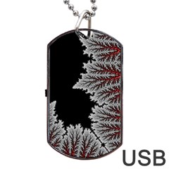 Math Formula Dog Tag Usb Flash (two Sides) by Bedest