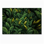 Banana leaves Postcards 5  x 7  (Pkg of 10) Front