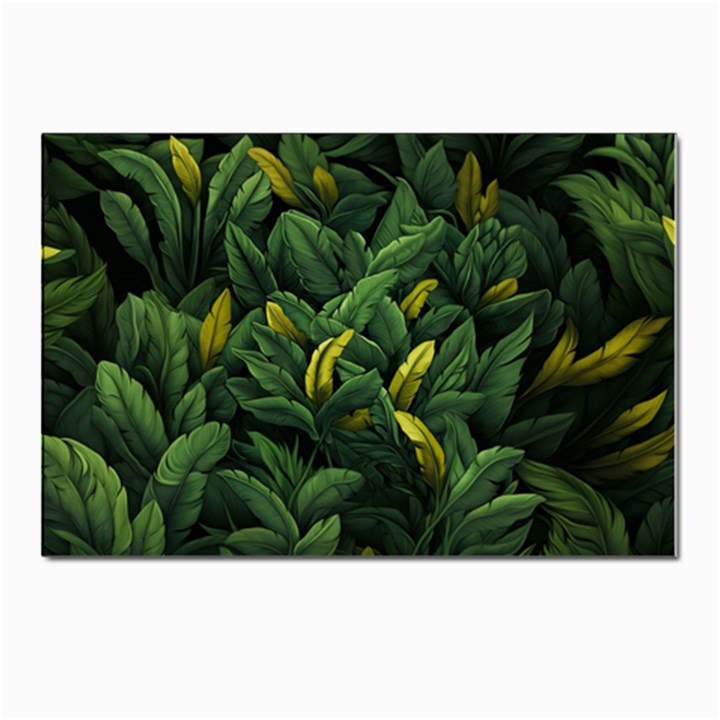 Banana leaves Postcards 5  x 7  (Pkg of 10)