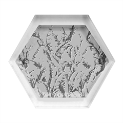 Tropical Leaves Hexagon Wood Jewelry Box by goljakoff