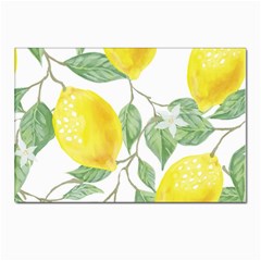 Fruit-2310212 Postcards 5  X 7  (pkg Of 10) by lipli