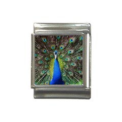 Peacock Bird Feathers Pheasant Nature Animal Texture Pattern Italian Charm (13mm) by Bedest