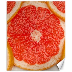 Grapefruit-fruit-background-food Canvas 8  X 10  by Maspions