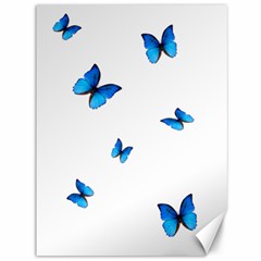 Butterfly-blue-phengaris Canvas 36  X 48  by saad11