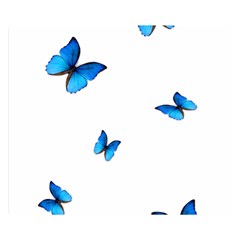 Butterfly-blue-phengaris Premium Plush Fleece Blanket (small) by saad11