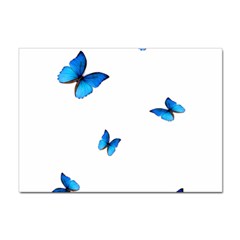 Butterfly-blue-phengaris Sticker A4 (10 Pack) by saad11