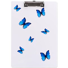 Butterfly-blue-phengaris A4 Acrylic Clipboard by saad11