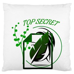 Top Secret 16  Baby Flannel Cushion Case (two Sides) by Raju