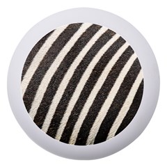 Zebra Zebra Pattern Zebra Fur Zebra Print Strip Dento Box With Mirror by Azkajaya