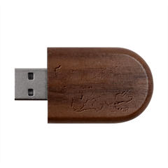 Old Vintage Classic Map Of Europe Wood Oval Usb Flash Drive by Paksenen