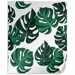 Illustrations Monstera Leafes Canvas 16  X 20  by anzea