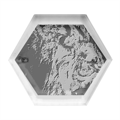 Angry Male Lion Wild Animal Hexagon Wood Jewelry Box by Loisa77