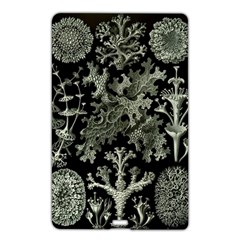 Weave Haeckel Lichenes Photobionten Name Card Style Usb Flash Drive by Cemarart