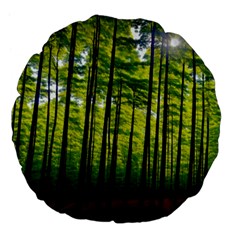 Green Forest Jungle Trees Nature Sunny Large 18  Premium Flano Round Cushions by Ravend