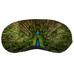 Peacock Feathers Bird Plumage Sleep Mask by Perong