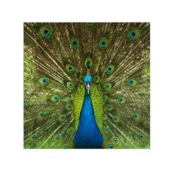 Peacock Feathers Bird Plumage Square Satin Scarf (30  X 30 ) by Perong