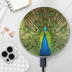 Peacock Feathers Bird Plumage Wireless Fast Charger(white) by Perong