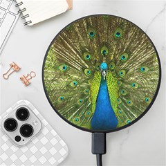 Peacock Feathers Bird Plumage Wireless Fast Charger(black) by Perong