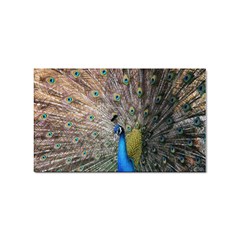 Peacock Bird Animal Peafowl Sticker Rectangular (100 Pack) by Perong