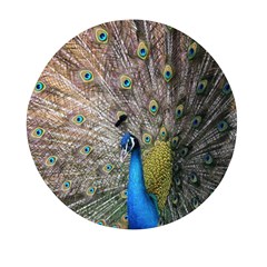 Peacock Bird Animal Peafowl Mini Round Pill Box by Perong