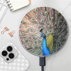 Peacock Bird Animal Peafowl Wireless Fast Charger(white) by Perong