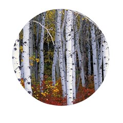 White Birch Trees Autumn Mini Round Pill Box by Perong