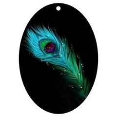 Shree Krishna, Feather, Lord, Rainbows Uv Print Acrylic Ornament Oval by kyorashop23