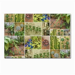 Garden Sanctuary Photo Collage Print Postcards 5  X 7  (pkg Of 10) by dflcprintsclothing