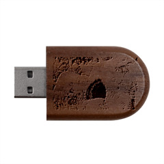 Planet Psychedelic Art Psicodelia Wood Oval Usb Flash Drive by Bedest