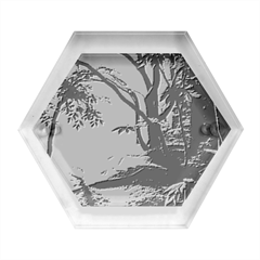 Forest Path Red Nature Hexagon Wood Jewelry Box by Bedest