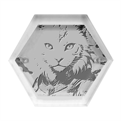 Epic Armored Cat Warrior Hexagon Wood Jewelry Box by ExtraAwesomeSauce