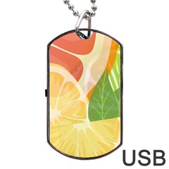 Citrus Fruit Healthy Vitamin Dog Tag Usb Flash (two Sides) by Paksenen