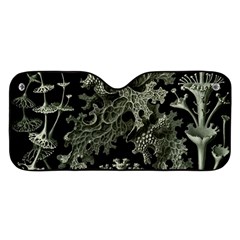 Weave Haeckel Lichenes Photobionten Car Windshield Sunshade by Cemarart