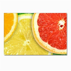 Fruit, Lemon Postcards 5  X 7  (pkg Of 10) by kyorashop23