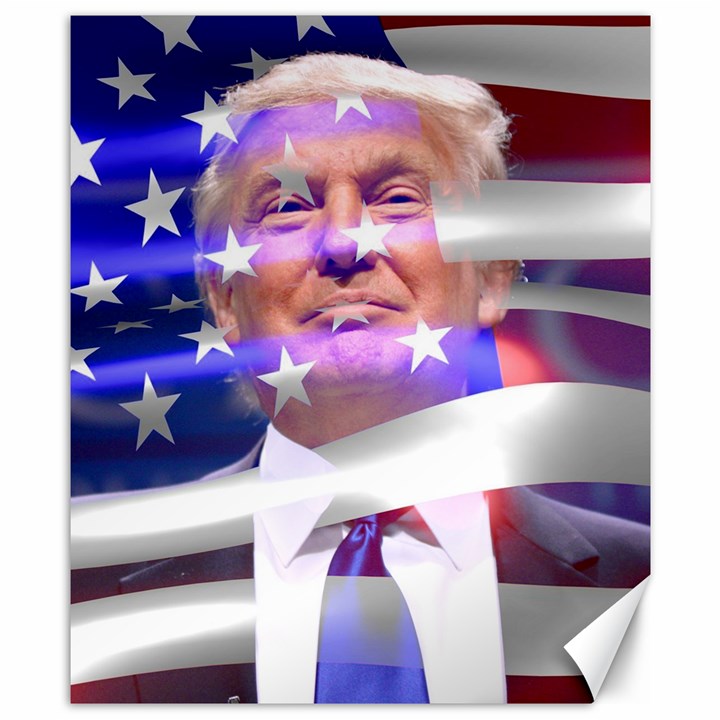 Donald Trump Flag Canvas 8  x 10 