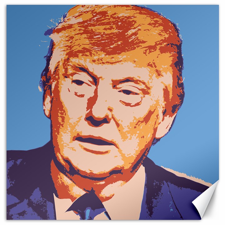 Orange Donald Trump Canvas 12  x 12 